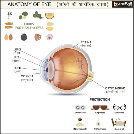 Yashwant Paramedical College, Nanded